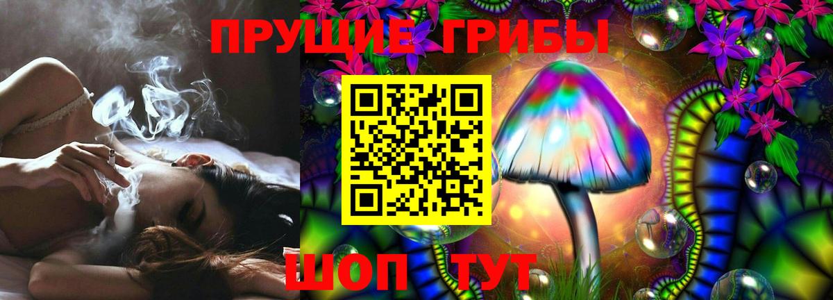 Галлюциногенные грибы Cubensis  Вход с VPN  Курчалой 